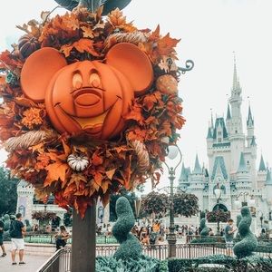 Meet your Posher, Harshitha